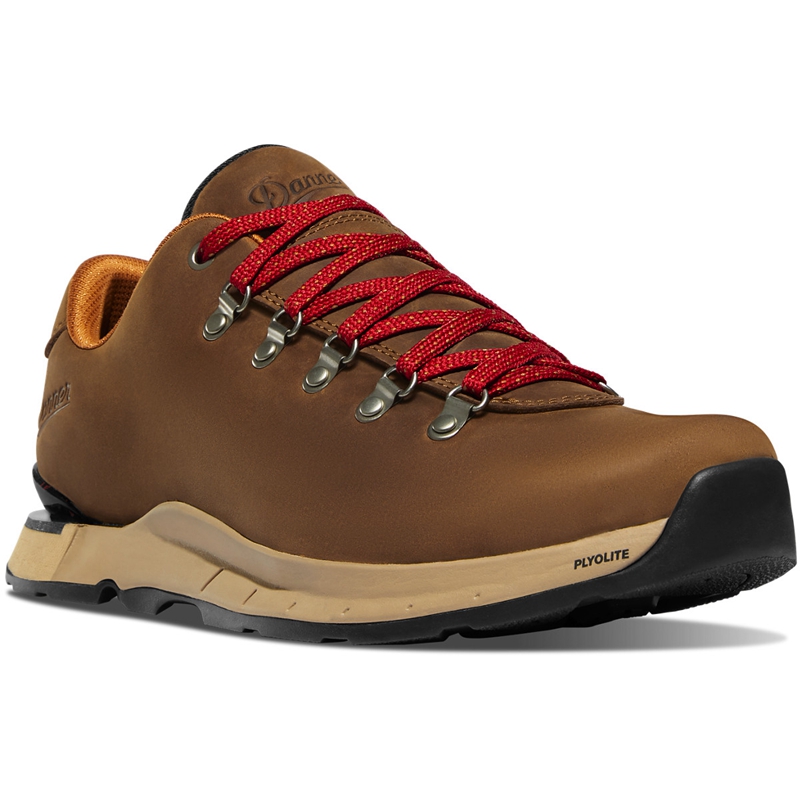 Brown Men's Danner Mountain Overlook Hiking Boots | 34859-PKBD