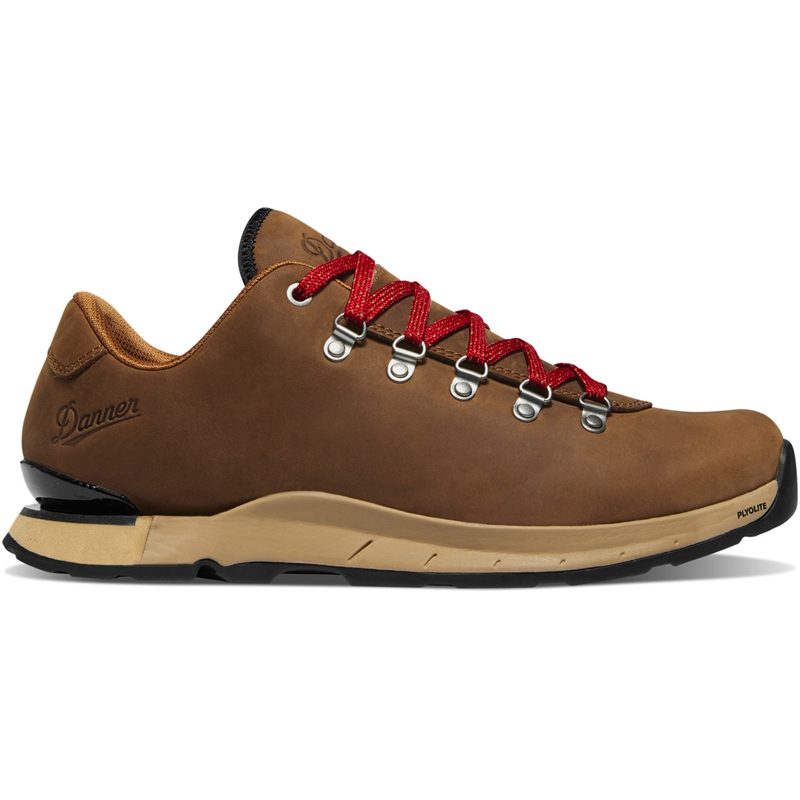 Brown Men\'s Danner Mountain Overlook Hiking Boots | 34859-PKBD